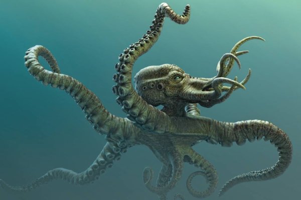 Kraken darknet marketplace