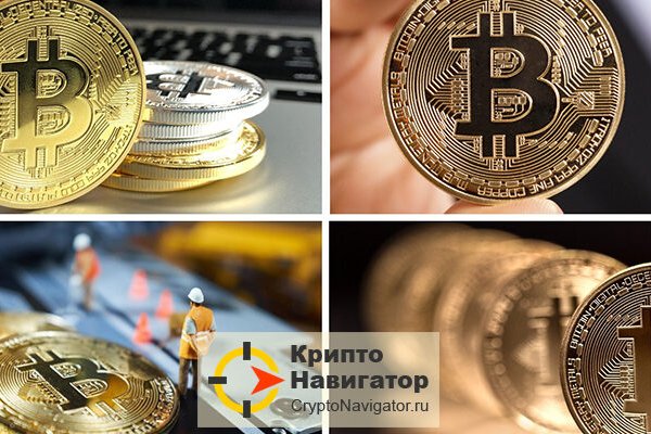 Модератор на кракене