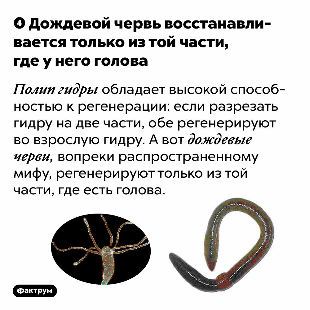 Кракен маркетплейс что продают